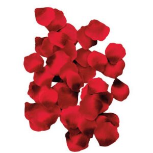 location de spa avec ambiance romantique